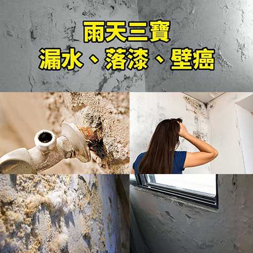 壁癌處理