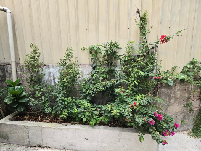 獨立套房出租（第1張）