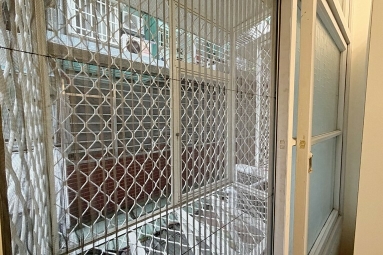 💓景平捷運站/兩房一廳/可租補/獨洗獨曬（第12張）