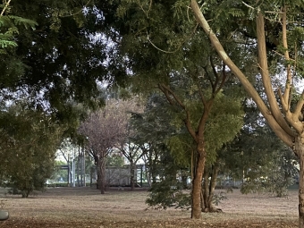 春福天駅x高鐵宅x可租補x學區x三井百貨x平車x僅此一席（第14張）