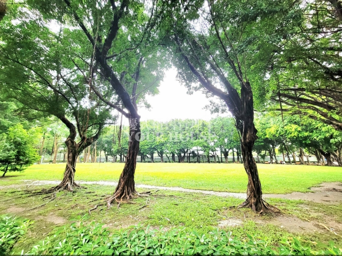 近435藝文特區｜2樓公寓🔥3房大陽台.可狗可貓💖傢俱齊全 - Image 14