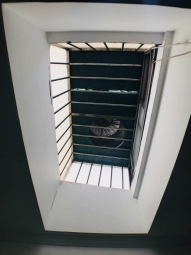 ★737美食★靜優套房★洗烘衣機★公園（第6張）