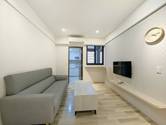 巨人精裝二房平車*獅子王（第3張）