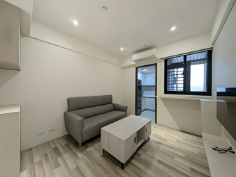 巨人精裝二房平車*獅子王（第1張）