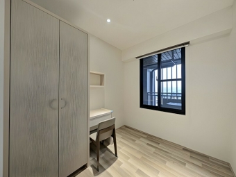 巨人精裝二房平車*獅子王（第5張）