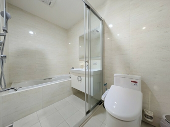 巨人精裝二房平車*獅子王（第9張）