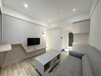 巨人精裝二房平車*獅子王（第2張）