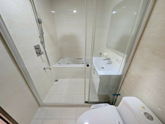 巨人精裝二房平車*獅子王（第8張）