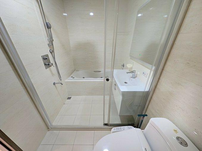 巨人精裝二房平車*獅子王（第8張）