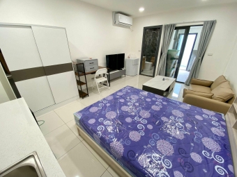 你在看我嗎💞可貓可租補✨陽台獨洗曬💯衛浴乾濕分離（第1張）