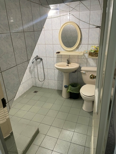 有天有地、近大雅綠點、清靜幽雅、好能量，適合一家人住在一起，不適合安公媽和寵物（第1張）