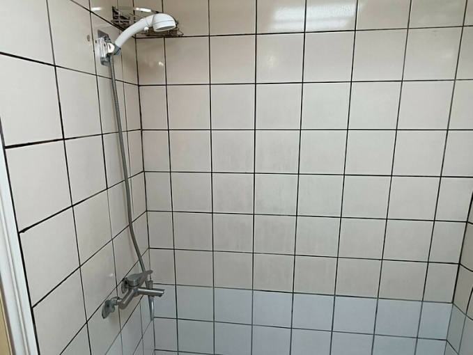 兆基社會住宅🏠友善屋源🧡近內科麥帥橋面花園/有車位可租補（第12張）