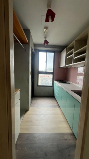 北屯中國醫院區｜二房機下車位可寵物（第4張）