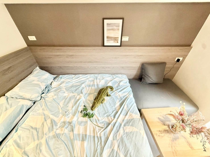 茶香悠然綻放✨獨洗獨曬✨可租補💕近科博館 中國醫⚡宇你相見（第3張）