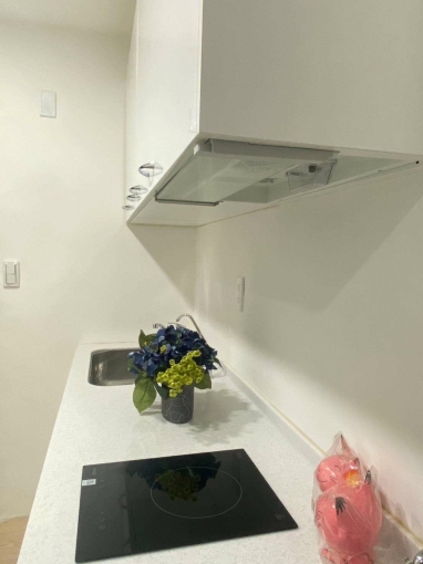 燙到要放耳邊降溫✨可租補✨獨洗獨曬💕近火車站 新時代⚡宇你相見（第5張）