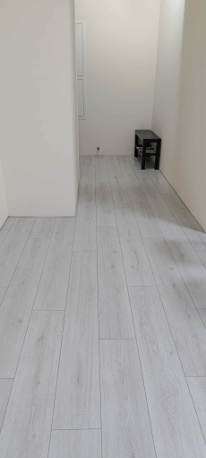 高鐵站前高級住宅，可當工作室不營登，可租補，寵物可談（第15張）