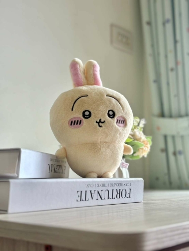 宇你相見💕陽台獨洗💕近大慶夜市中山醫💕小資首選（第9張）