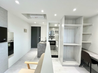 🔥全新完工可寵套房/採光超好/獨洗曬/流理台/衛浴乾濕分離/可雙租補/可小孩🔥 - Image 15