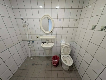 天寶贏家可寵三房平車含管*獅子王（第12張）