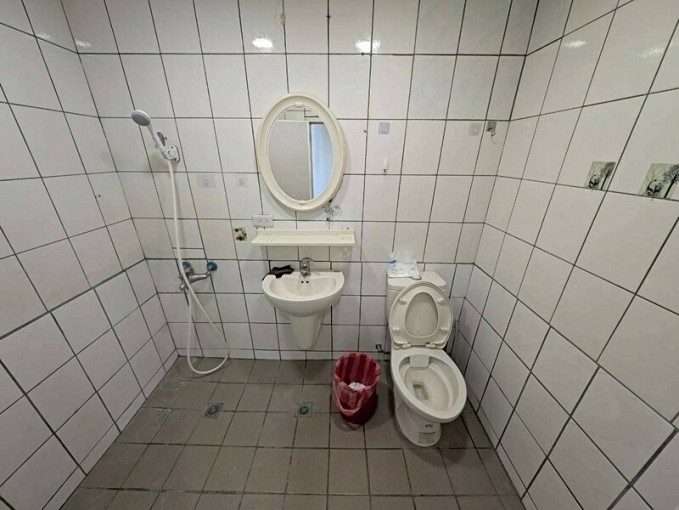 天寶贏家可寵三房平車含管*獅子王（第12張）