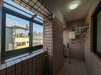 天寶贏家可寵三房平車含管*獅子王（第6張）