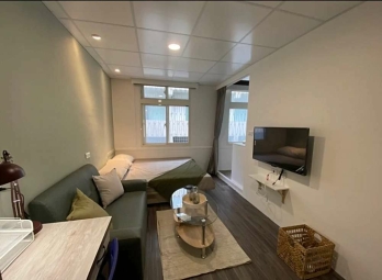 💗台北橋捷運/採光套房/可養寵物/可報稅可送補助（第2張）