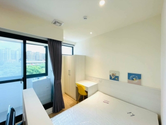 即將釋出.新莊區.捷運迴龍站.獨立陽台.大採光設計感套房A（第6張）