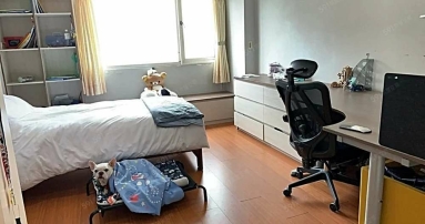 新埔捷運❤️景觀採光❤️新埔國小中❤️可寵租補❤️入戶籍報稅（第4張）