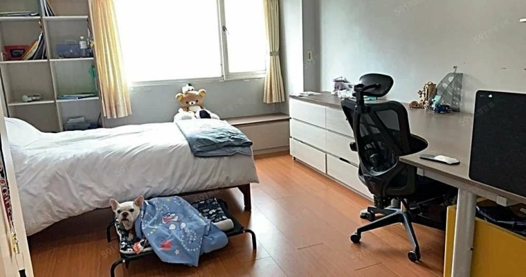 新埔捷運❤️景觀採光❤️新埔國小中❤️可寵租補❤️入戶籍報稅（第4張）