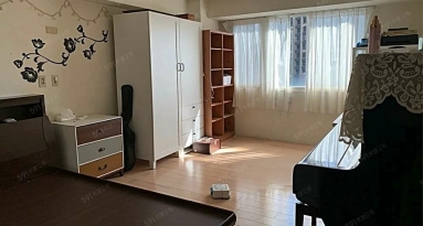 新埔捷運❤️景觀採光❤️新埔國小中❤️可寵租補❤️入戶籍報稅（第3張）