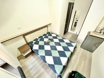 秒殺出租/可乖貓/雙租補/超強採光/短租條例（第2張）