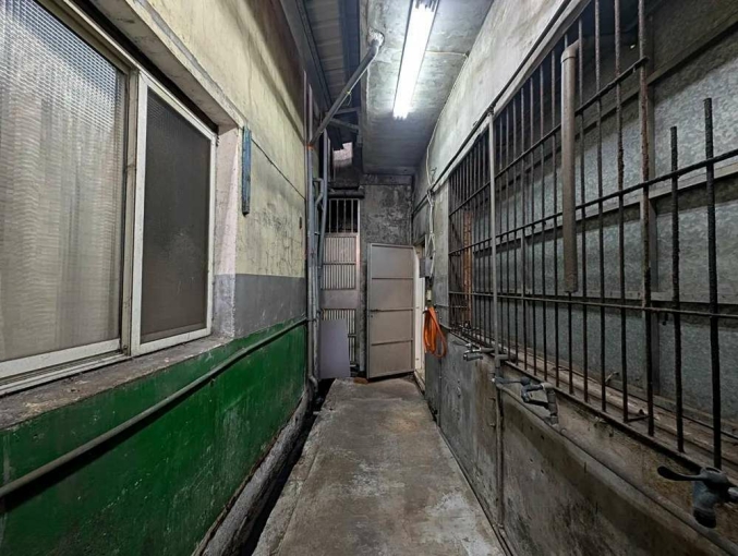 三民路餐飲店面*獅子王（第6張）