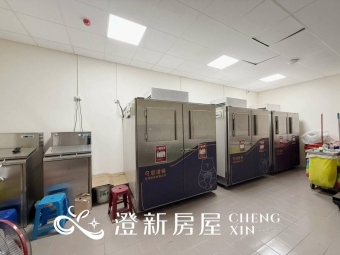 🐱新豐可養貓兩房只要22000🐱 - Image 26