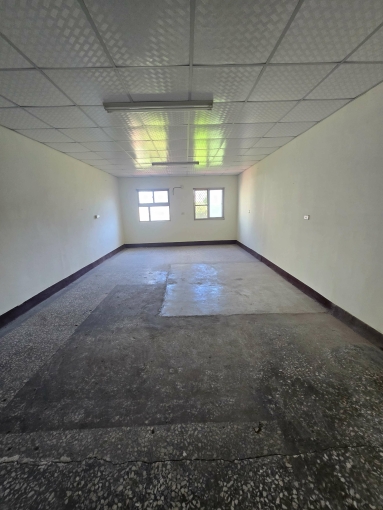 🏡稀有大坪數透天🏡雙學區•近豐洲工業區•好停車（第10張）