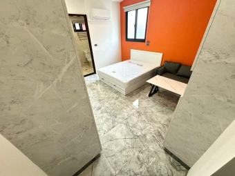 珍珠奶茶不要珍珠🐕🐈可寵可狗✨陽台獨洗💕近水湳 中央公園⚡宇你相見（第3張）