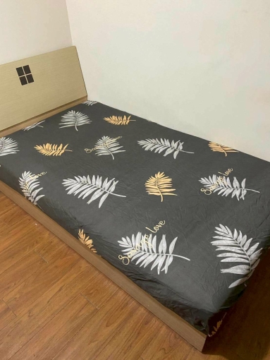 潘潘精選🏆可租補✨小資首選📍近東海.工業區（第3張）