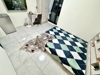 雙租補💕乖貓😺電梯💕固定機車位💕衛浴開窗（第2張）