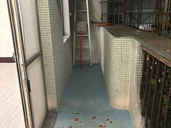 新埔民生捷運❤️新埔國小中❤️裕民夜市❤️租補❤️可寵神明廳（第13張）