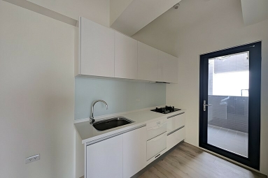 友太序全新三房平車*獅子王（第5張）