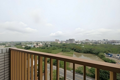 友太序全新三房平車*獅子王（第4張）