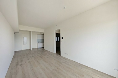 友太序全新三房平車*獅子王（第3張）