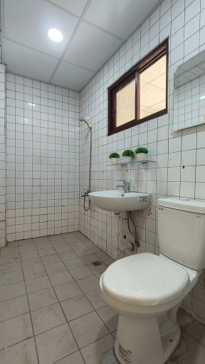 全新裝潢｜多戶可選｜可貓咪（第11張）