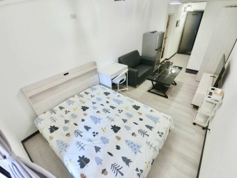 宇你相見💕陽台獨洗✨可租補😺可貓貓💕近興大 忠孝夜市（第5張）