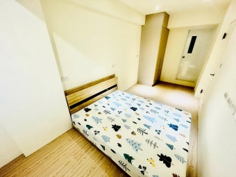 教育大學🎈喵汪小寵💕租補❤️全新 - Image 23