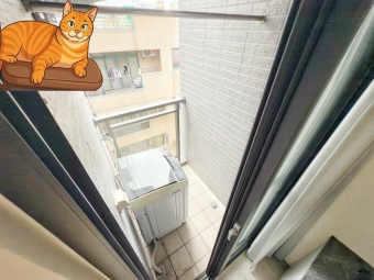 蓁心推薦💖🌟北區可租補極新電梯套房‼️可貓貓、陽台獨洗 秒殺 可雙租補 衛浴開窗 生活機能佳 美食商圈（第7張）