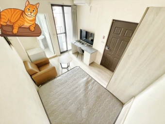 蓁心推薦💖🌟北區可租補極新電梯套房‼️可貓貓、陽台獨洗 秒殺 可雙租補 衛浴開窗 生活機能佳 美食商圈（第4張）