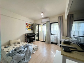 可租補可寵｜全新整理設備齊全｜室內10坪有陽台（第5張）