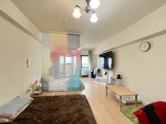 可租補可寵｜全新整理設備齊全｜室內10坪有陽台（第11張）