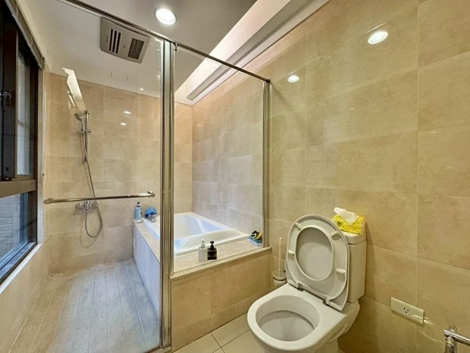 極光琉璃四房平車*獅子王（第11張）