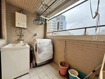 極光琉璃四房平車*獅子王（第13張）